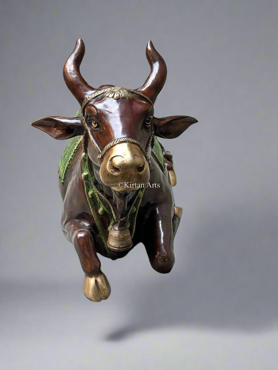 Large Brass Nandi Sculpture | 40" | Dual Tone | 53KG