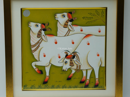 Pichwai Cows 13x13