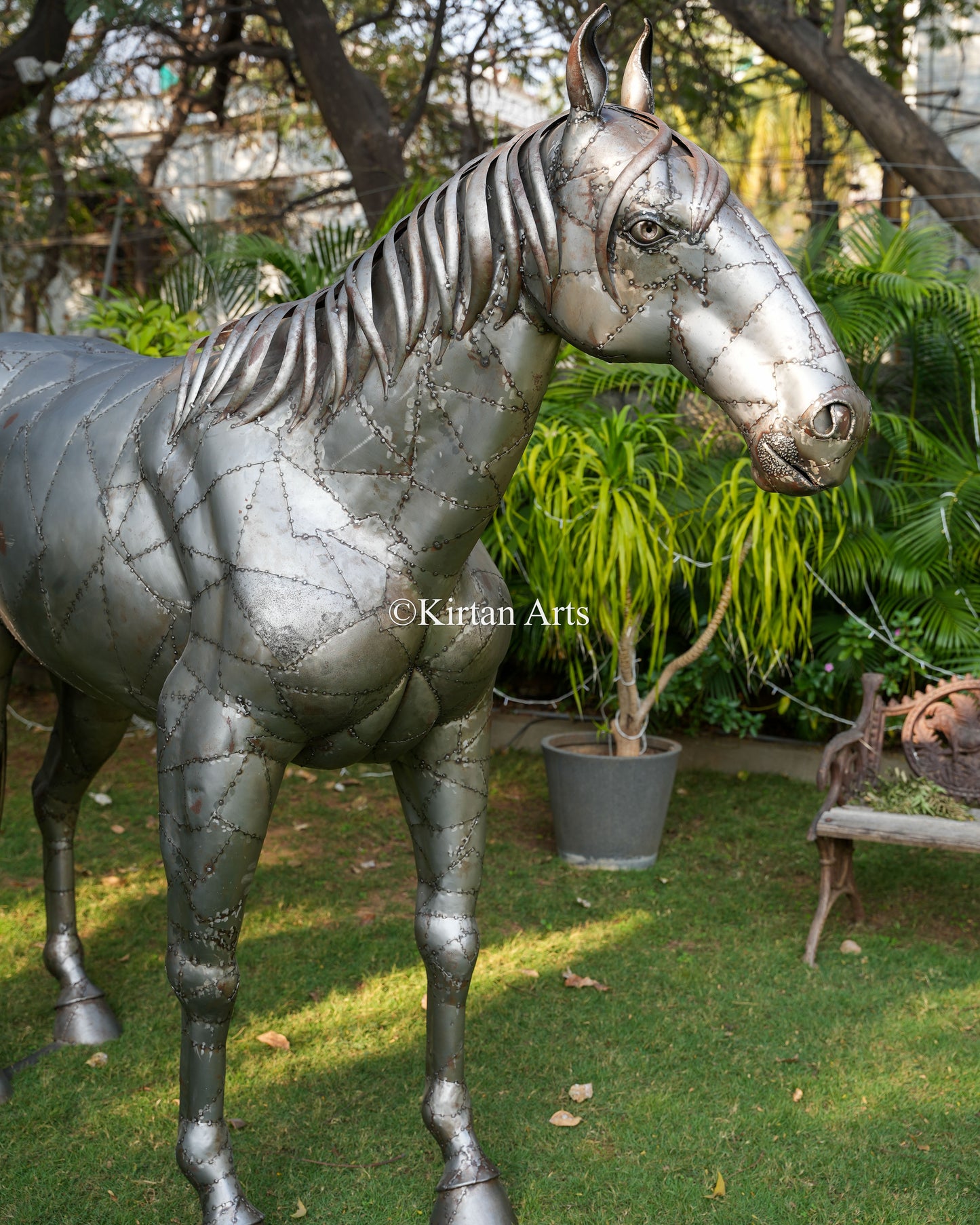Life-sized Metal Horse | 79"