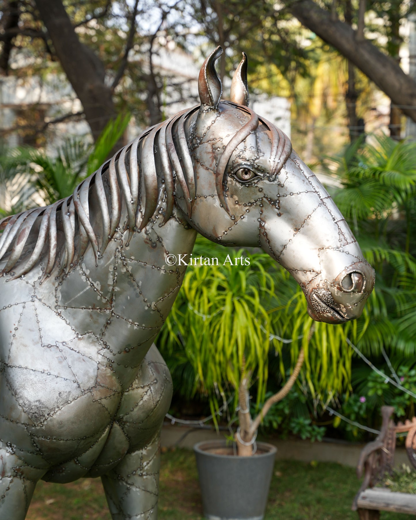 Life-sized Metal Horse | 79"